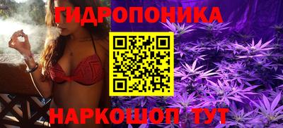 соль ск Можга