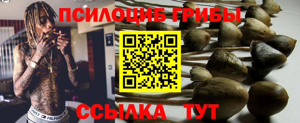 Псилоцибиновые грибы мухоморы Горячий Ключ