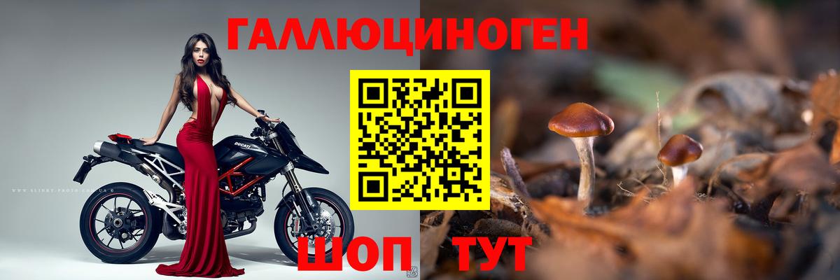 Псилоцибиновые грибы GOLDEN TEACHER  Вход с VPN  Горячий Ключ 